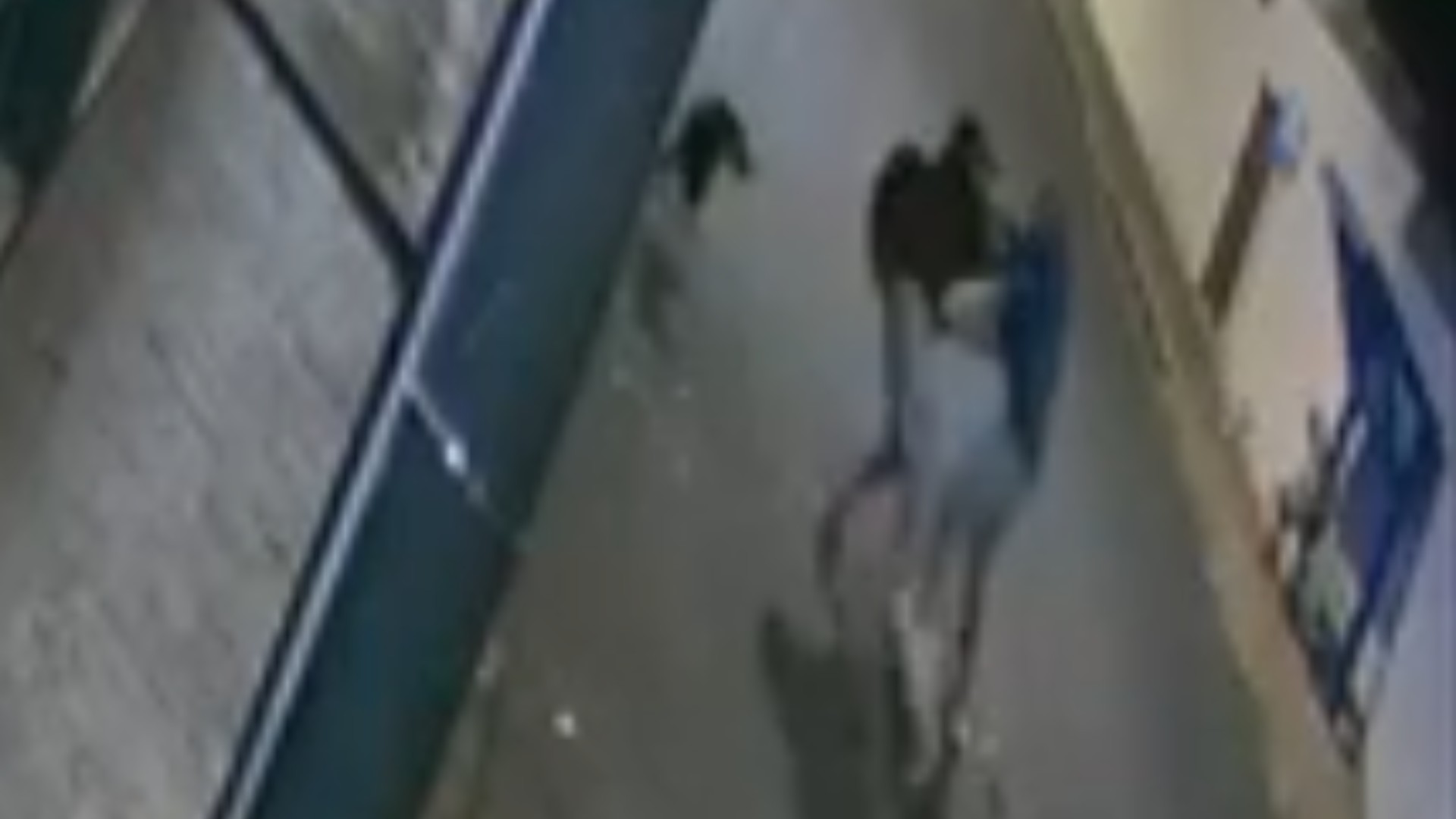 VÍDEO: Homem é executado a facadas em Uberlândia; suspeito diz que foi pago para cometer o crime