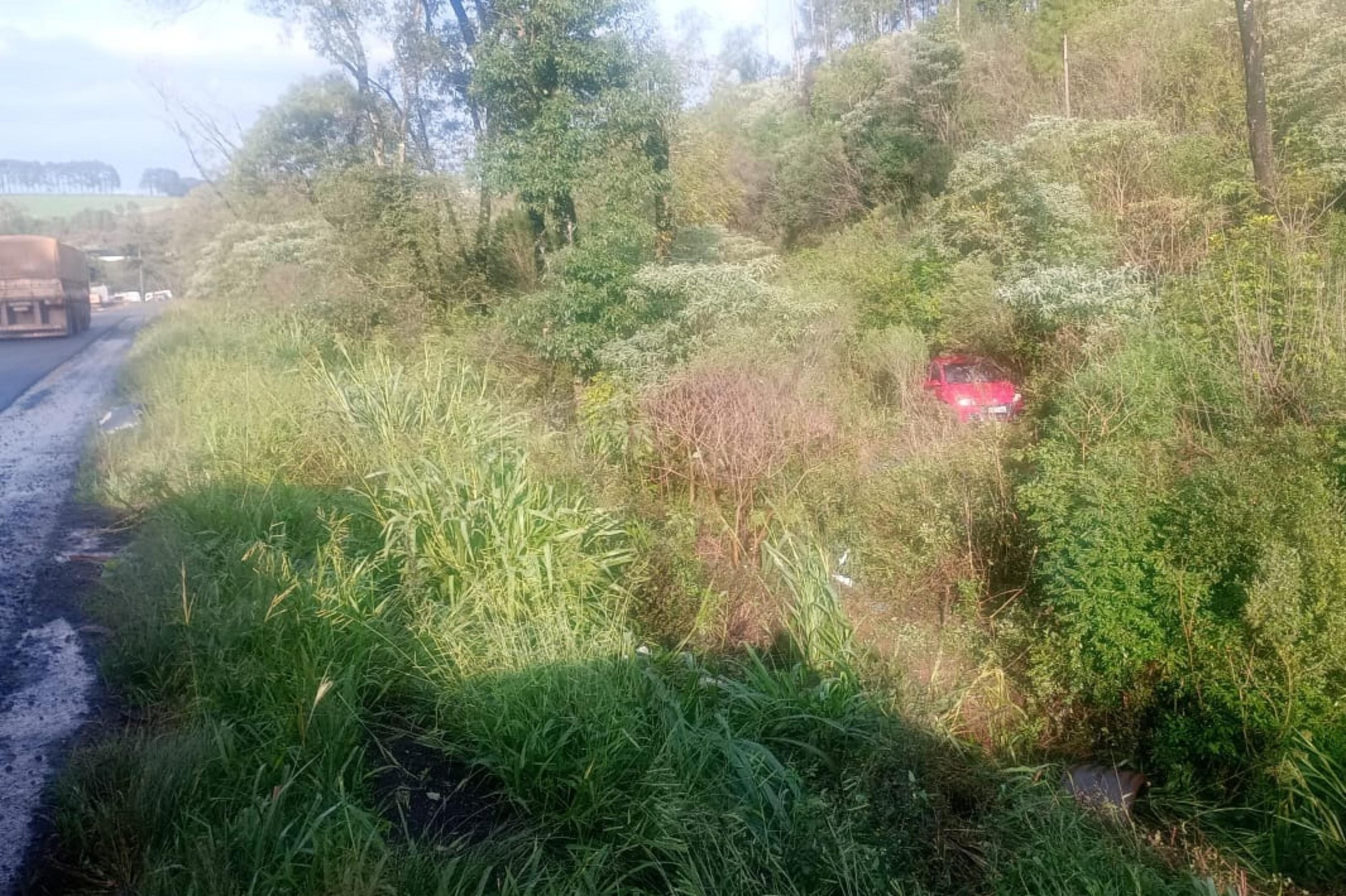 Homem de 61 anos morre após sair da pista e colidir com árvores em estrada no Norte do RS