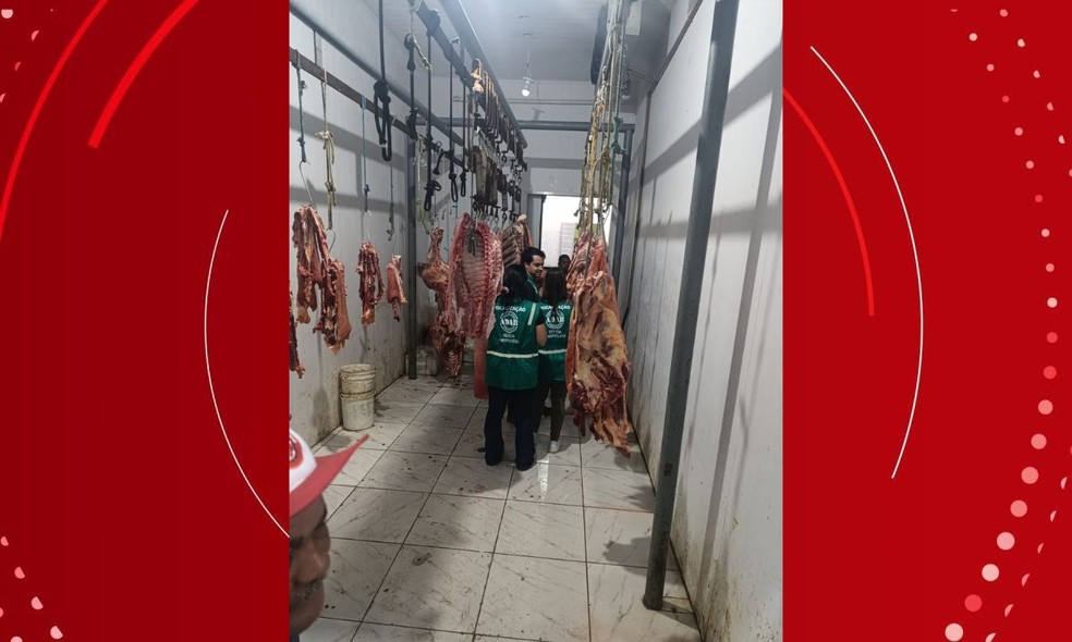 Cem quilos de carne infectada com tuberculose bovina são apreendidos em cidade da Bahia — Foto: Adab