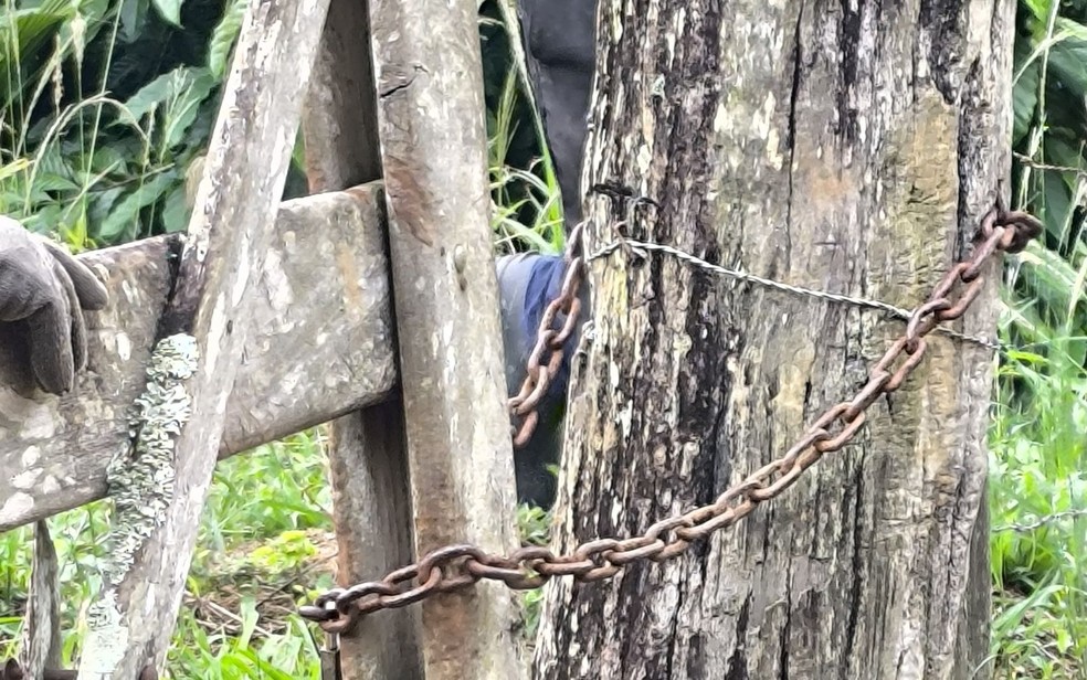 Trabalhadores são resgatados em situação análoga à de escravos — Foto: Polícia Civil