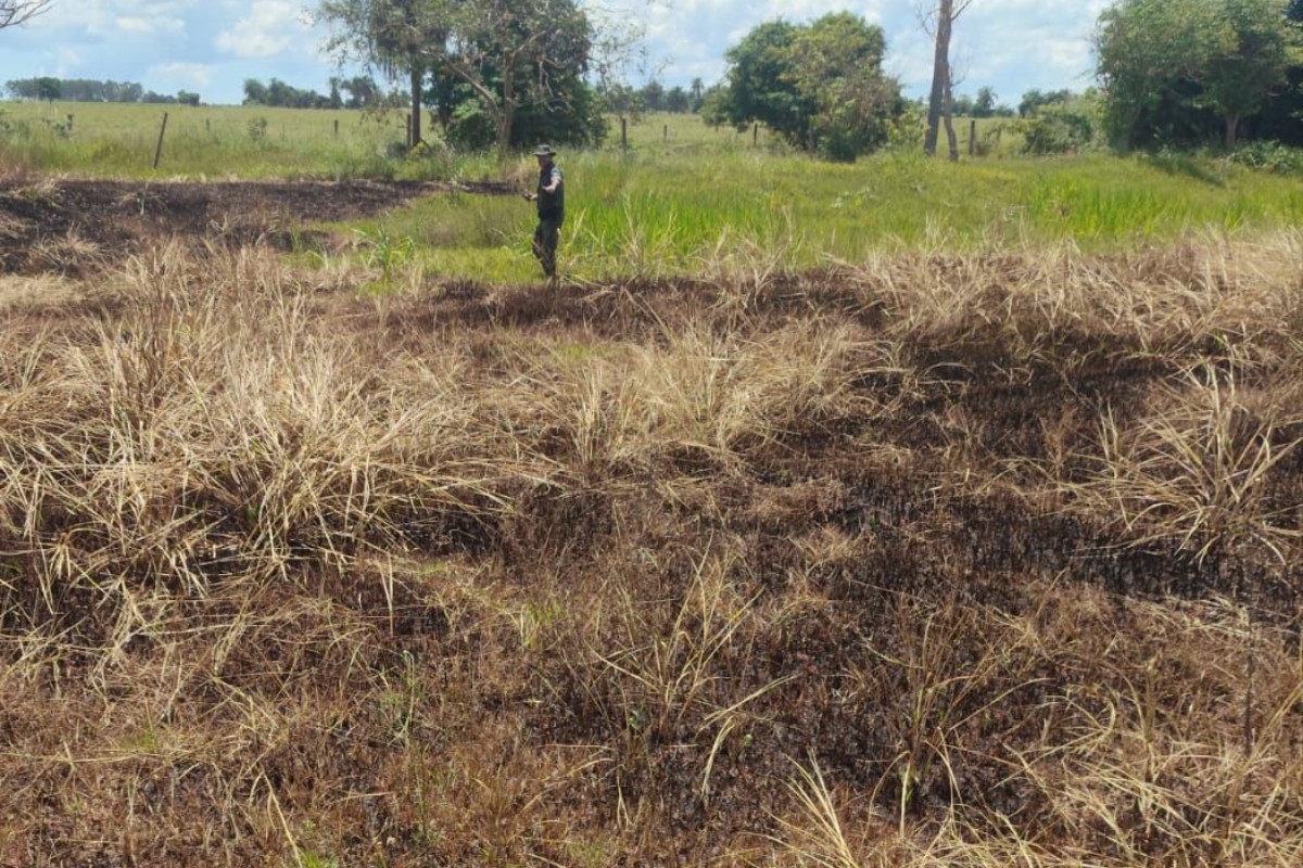 Homem é multado em R$ 1,2 mil por colocar fogo em área de vegetação em Euclides da Cunha Paulista