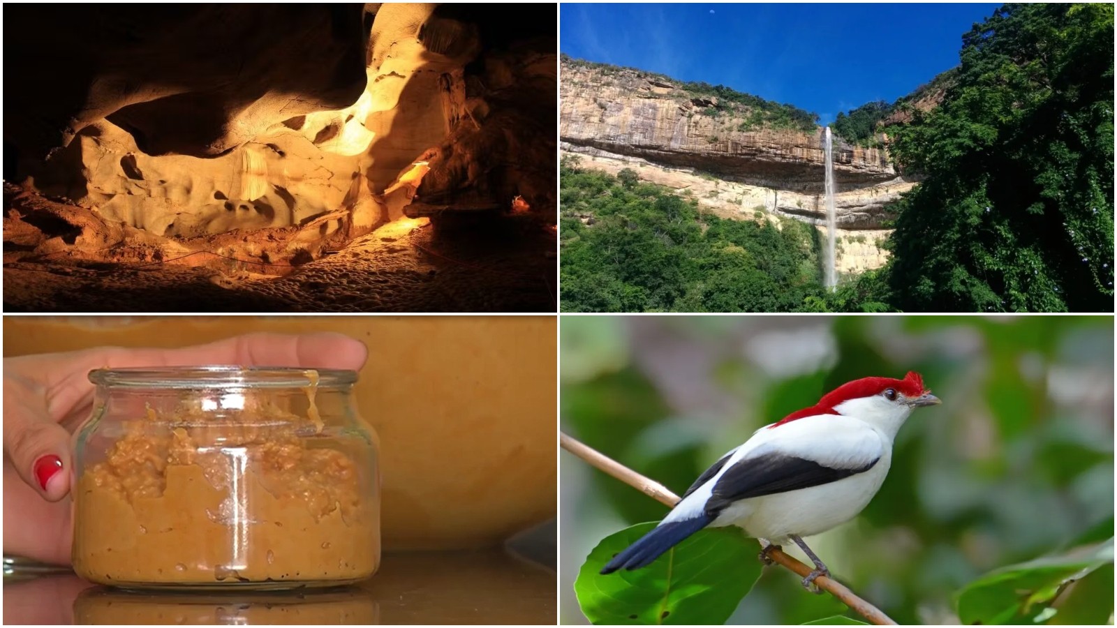 O que visitar no Ceará além das praias? g1 lista 4 destinos para conhecer natureza, história e cultura