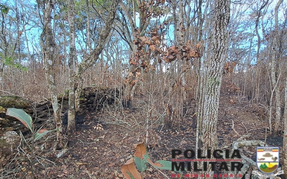 Inc&ecirc;ndio atingiu 1379,5 hectares de mata nativa em Carrancas &mdash; Foto: Pol&iacute;cia Militar de Meio Ambiente