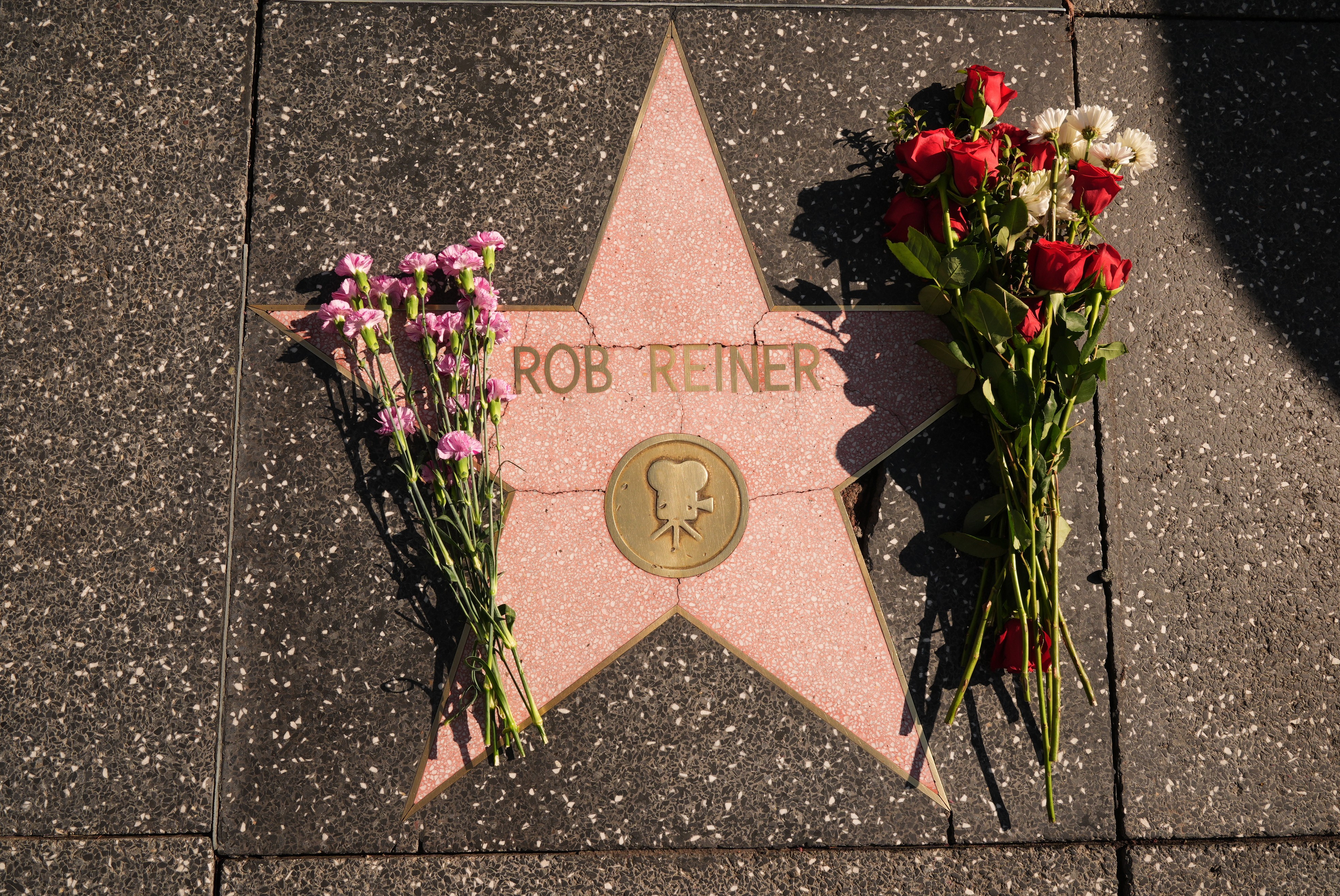 Rob Reiner recebe homenagens em Hollywood; veja fotos 