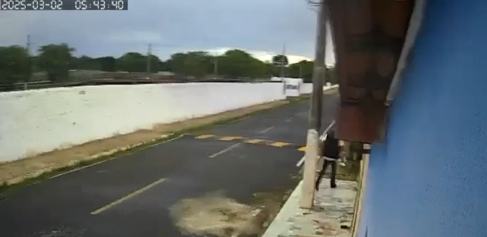 Câmera de segurança mostra momento em que suspeito de matar mulher e crianças em Paquetá chega na residência — Foto: Reprodução