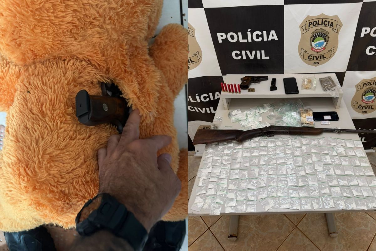 Polícia encontra arma escondida em urso de pelúcia durante operação em MS; 5 são presos