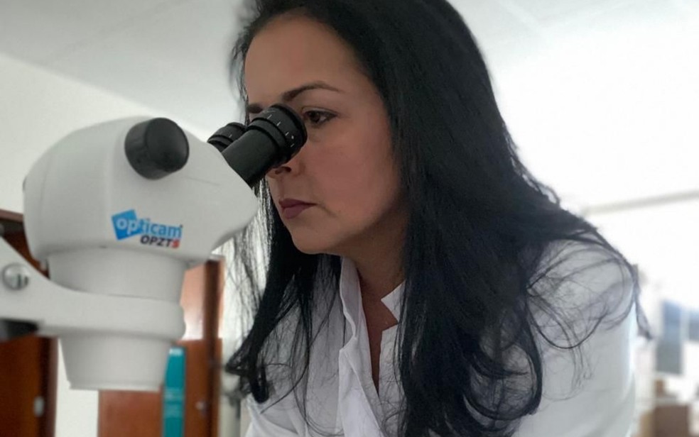 A coordenadora do estudo, professora Joziana Muniz de Paiva Barçante — Foto: Divulgação / Universidade Federal de Lavras
