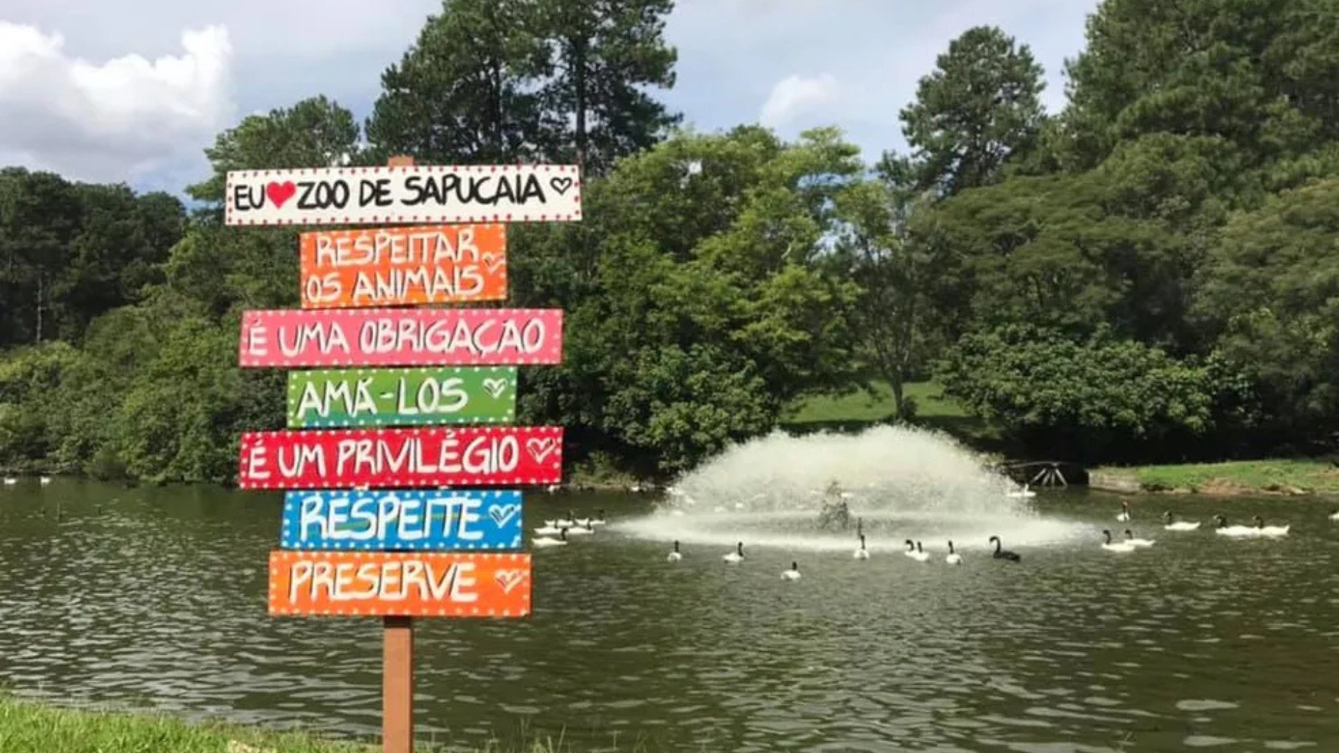 Zoológico de Sapucaia do Sul volta a receber visitas após quase um mês fechado por morte de animais