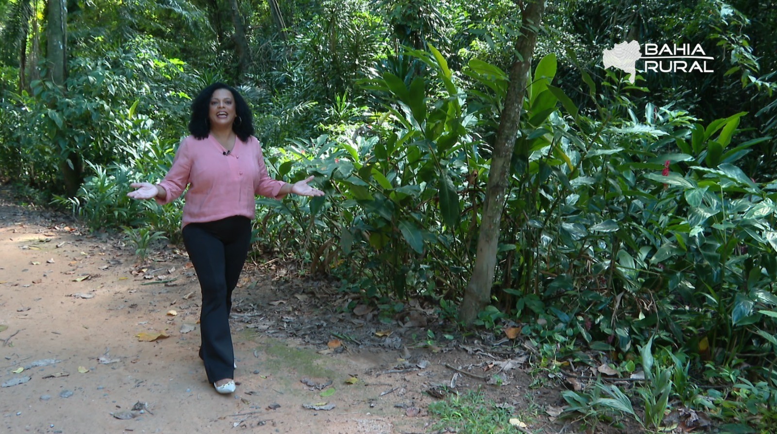 Vídeos do g1 e TV Bahia - domingo, 10 de maio de 2026