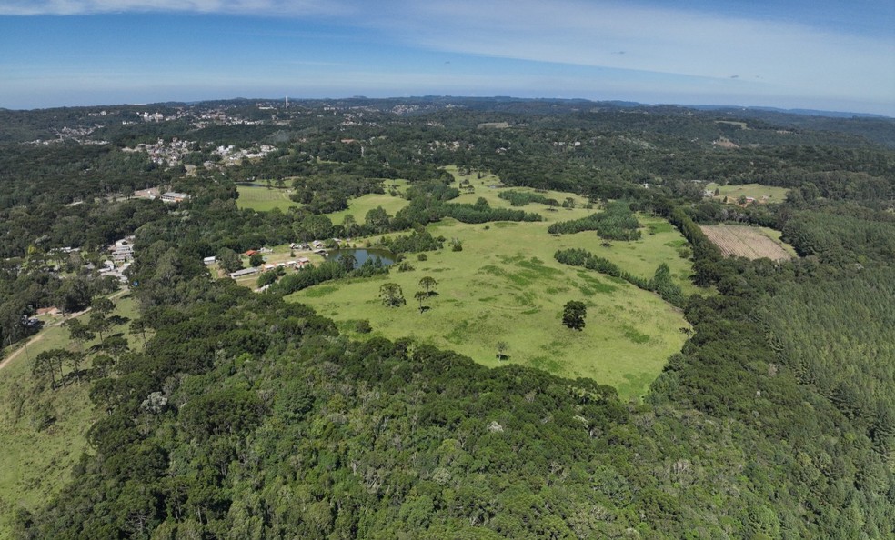 Imagem Divulgação/ Prefeitura de Gramado/ Bruno Stoltz