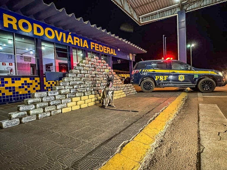 Motorista é preso com meia tonelada de ‘supermaconha’ escondida em caminhão em MT