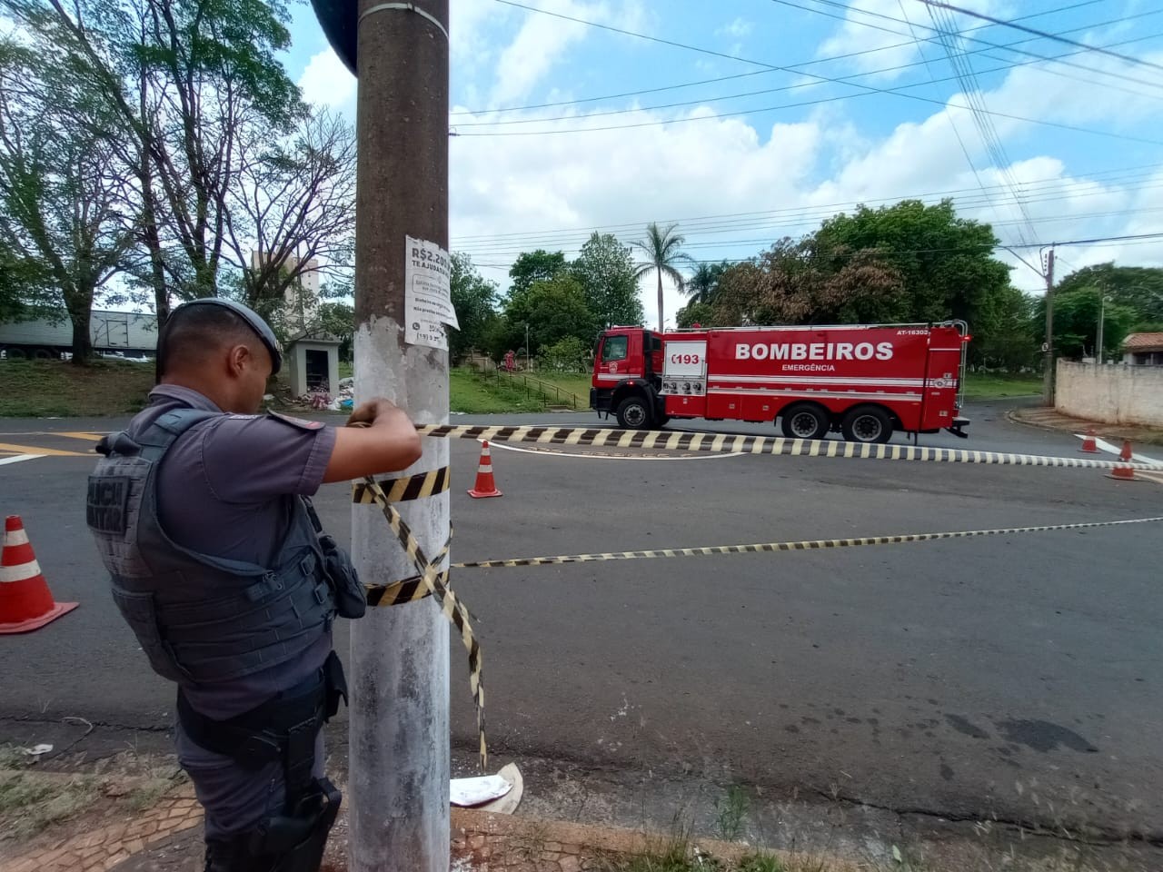 Ataque de abelhas mata dois cães em Santa Bárbara d'Oeste