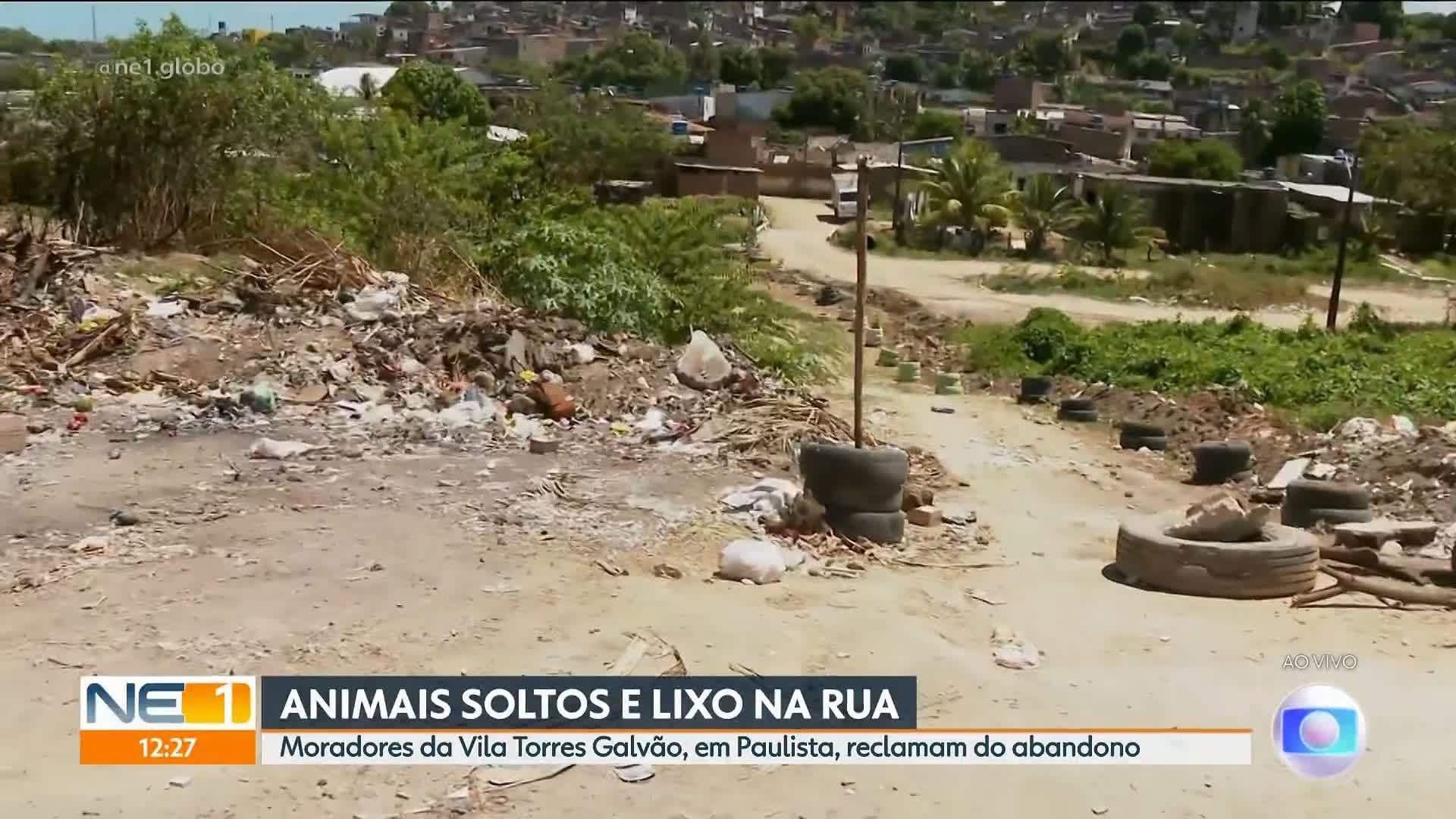 VÍDEOS: NE1 de quarta-feira, 5 de novembro de 2025