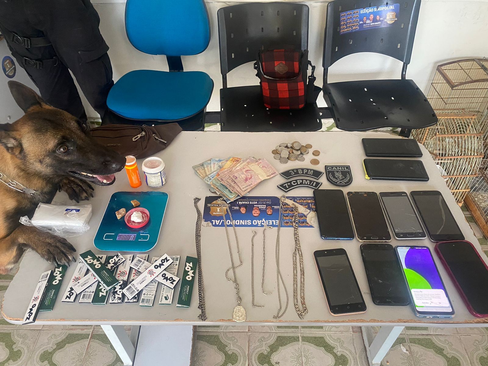 Polícia prende traficante no interior de Alagoas, apreende cocaína, crack e recupera aves