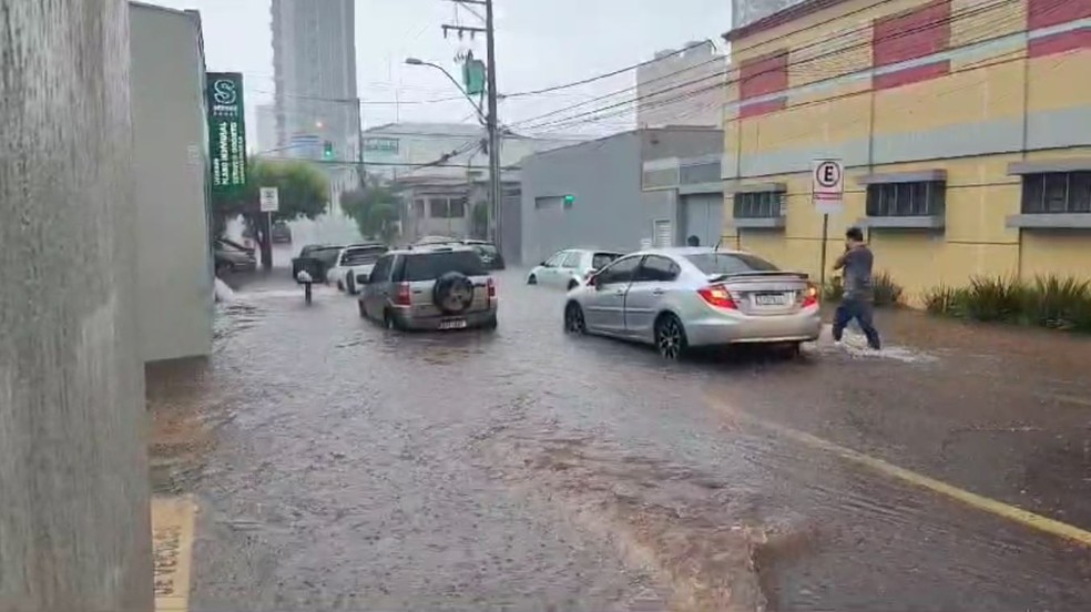 Rua Epitácio Pessoa no Centro de Sertãozinho, SP, alagada pela chuva — Foto: Redes Sociais