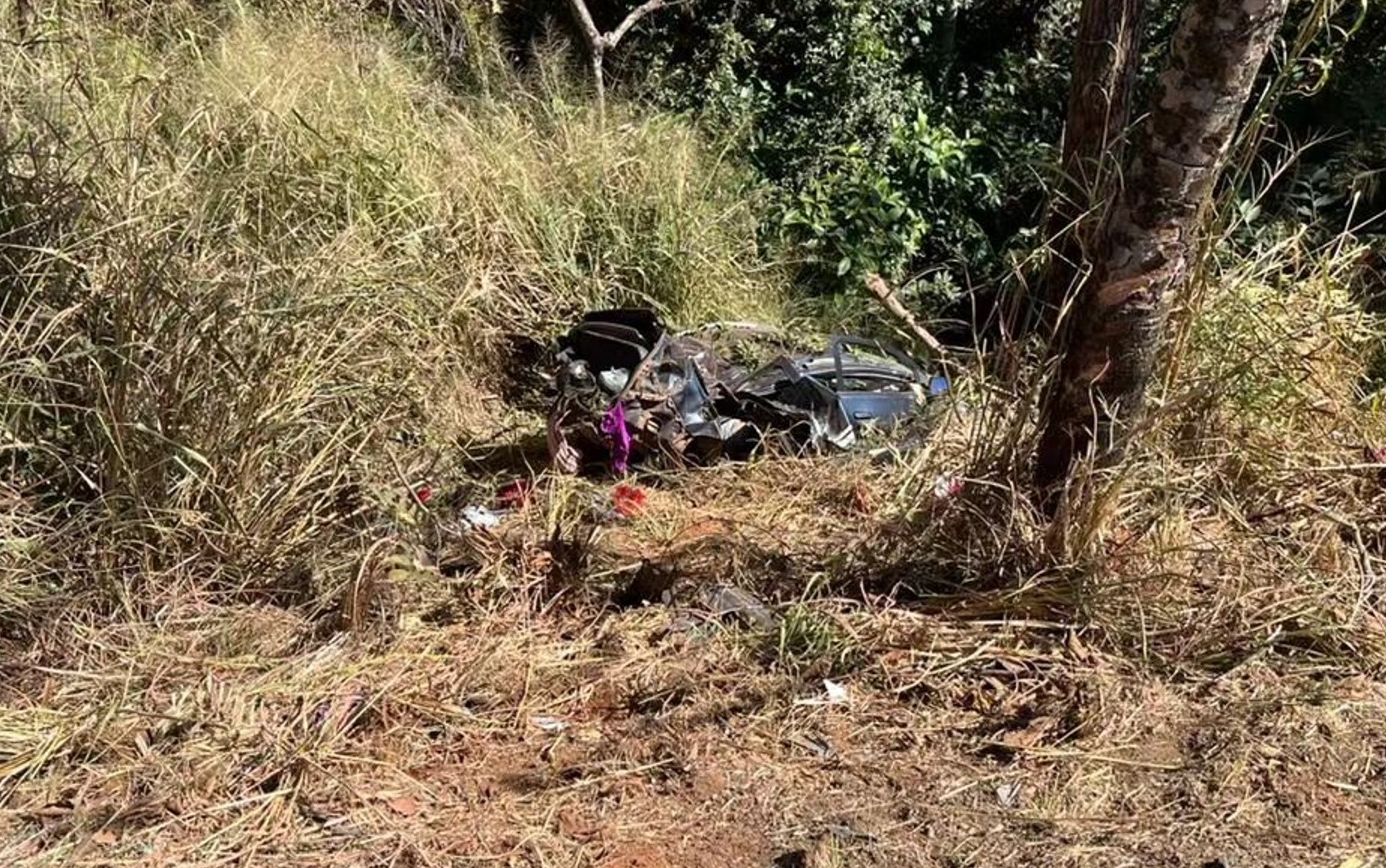 Sobrevivente passa 72 horas em ribanceira após acidente em Goiás