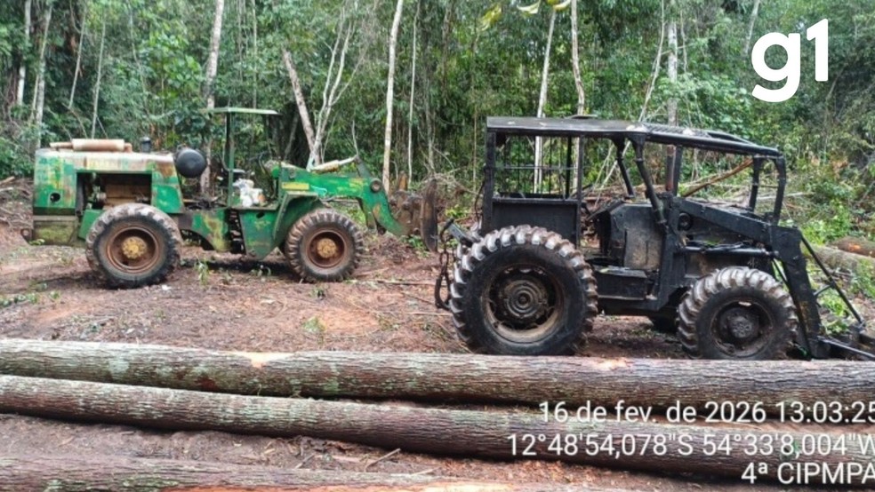 Em uma clareira, os policiais encontraram um trator preto e e uma pá-carregadeira com garfo para transporte de madeira. — Foto: PMMT