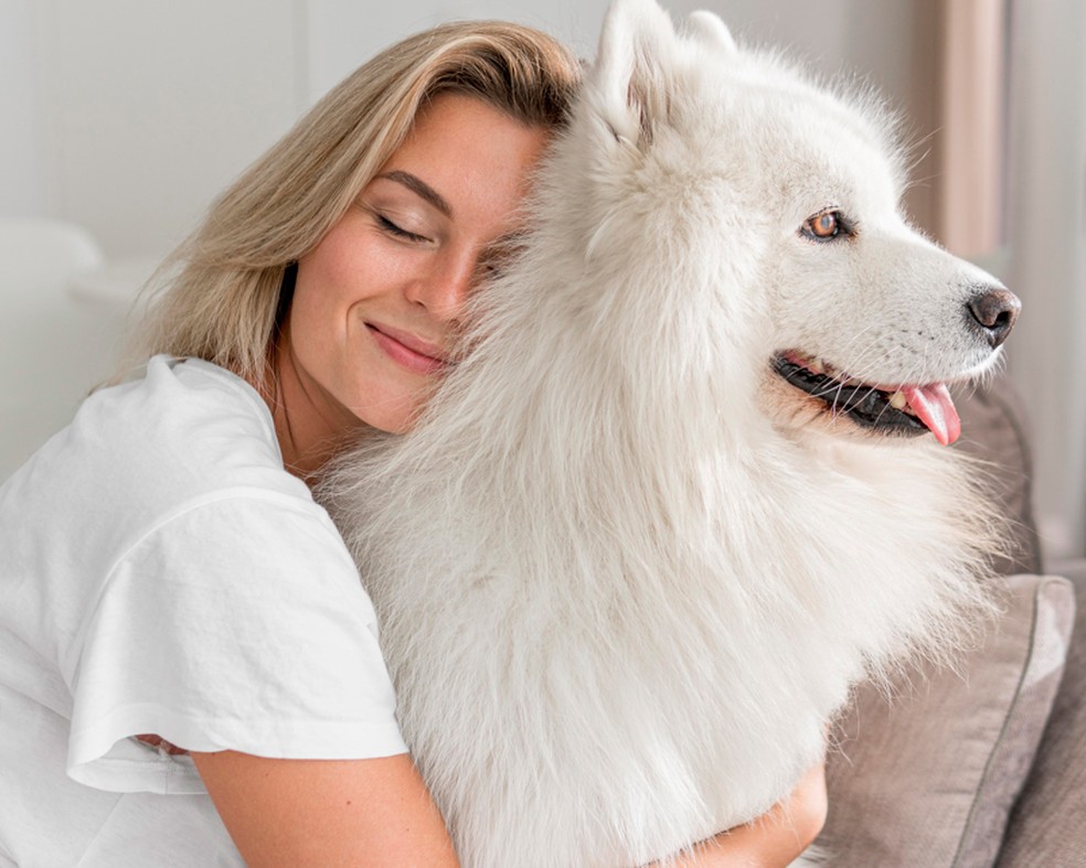 A atividade cerebral nas regiões de cognição social é maior entre os participantes do estudo que são tutores de animais de estimação. — Foto: Popular Pet/Divulgação