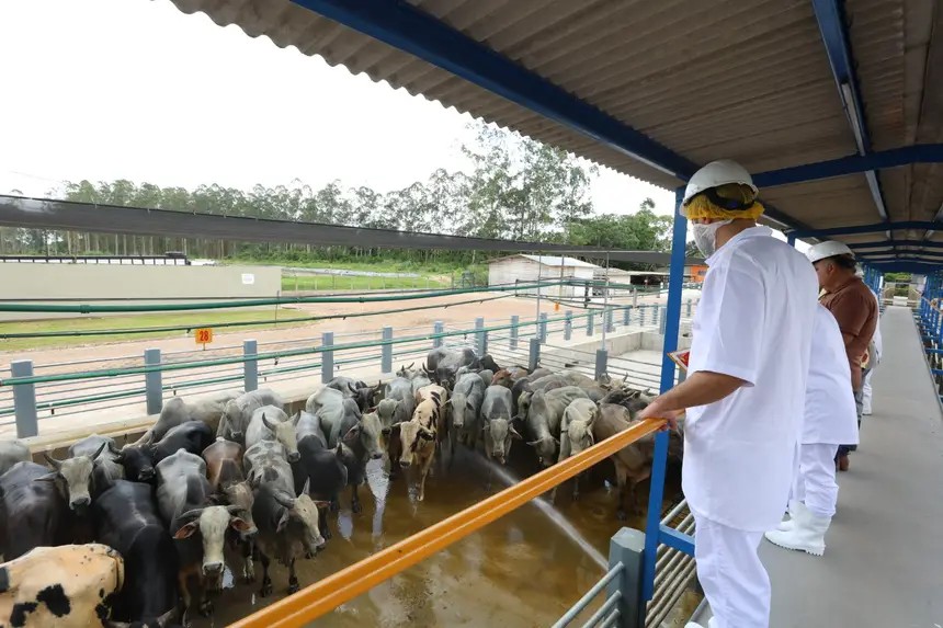 Comissão do Parlamento Alemão visita o Pará e conhece ações de sustentabilidade e combate ao desmatamento