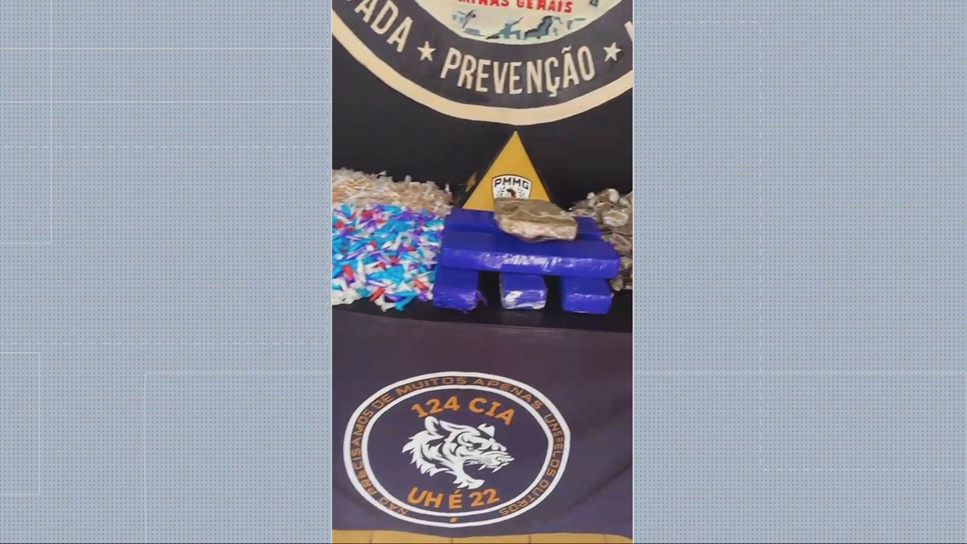 PM apreende mais de 3 mil porções de drogas no Morro do Papagaio, em BH