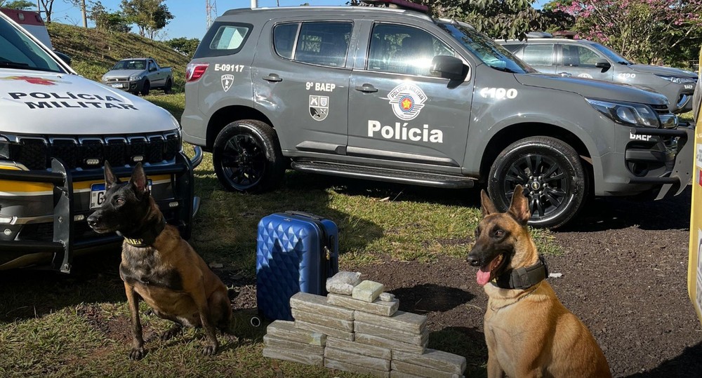 Adolescente de 15 anos é apreendido com maconha em ônibus interestadual