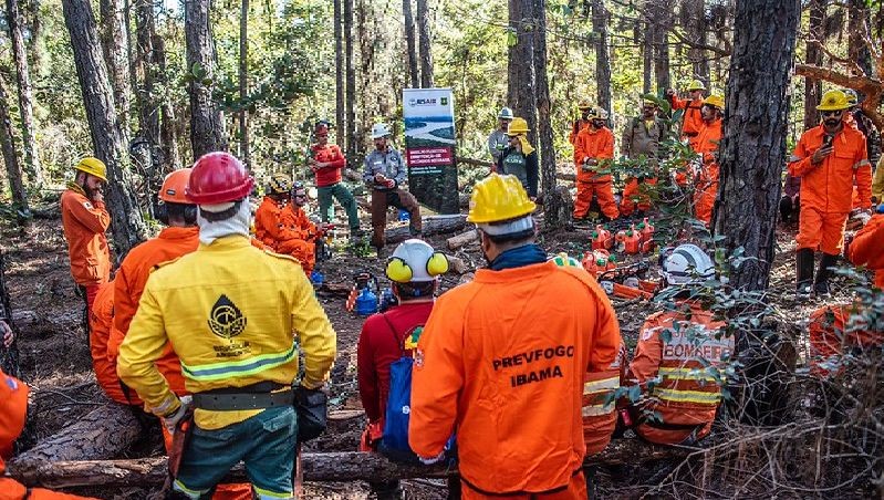 Decreto de Trump suspende parceria EUA-Brasil financiado pela USAID para combate a incêndios florestais