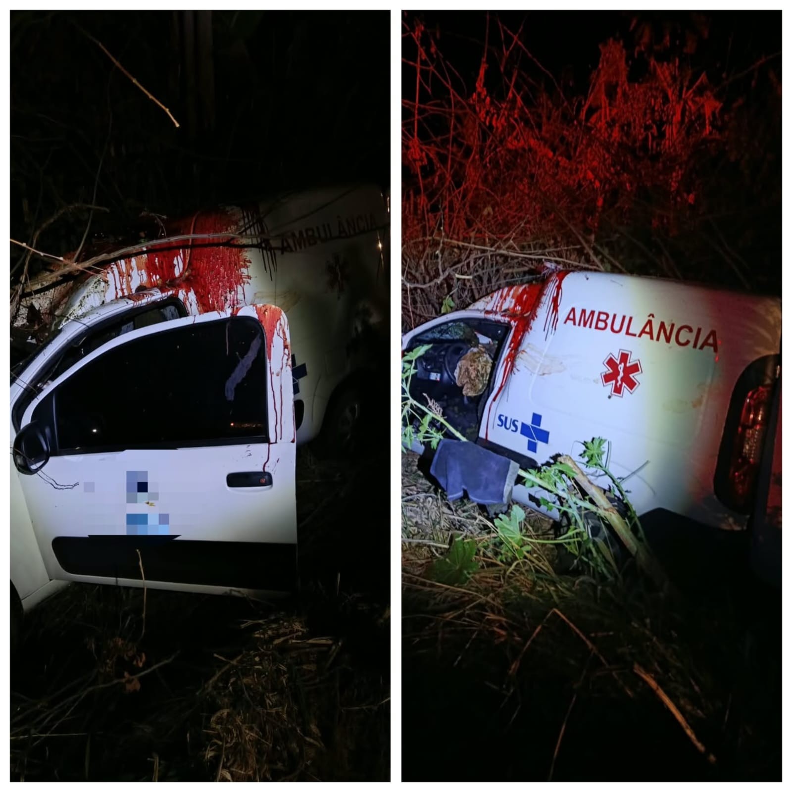 Ambulância bate em cavalo na Estrada da Produção, em Montes Claros; animal morreu no local