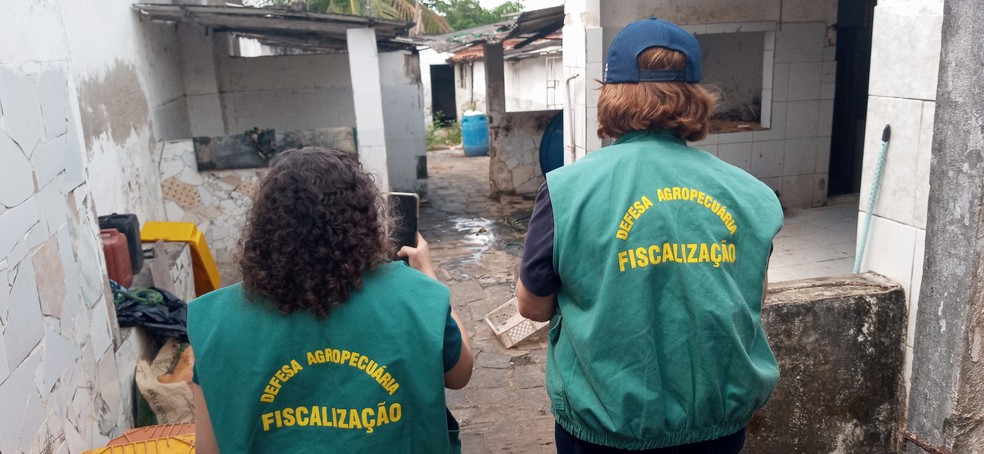 Fiscais agropecuárias foram até fábrica clandestina de linguiças e encontraram irregularidades graves — Foto: Alisson Correia/TV Cabo Branco