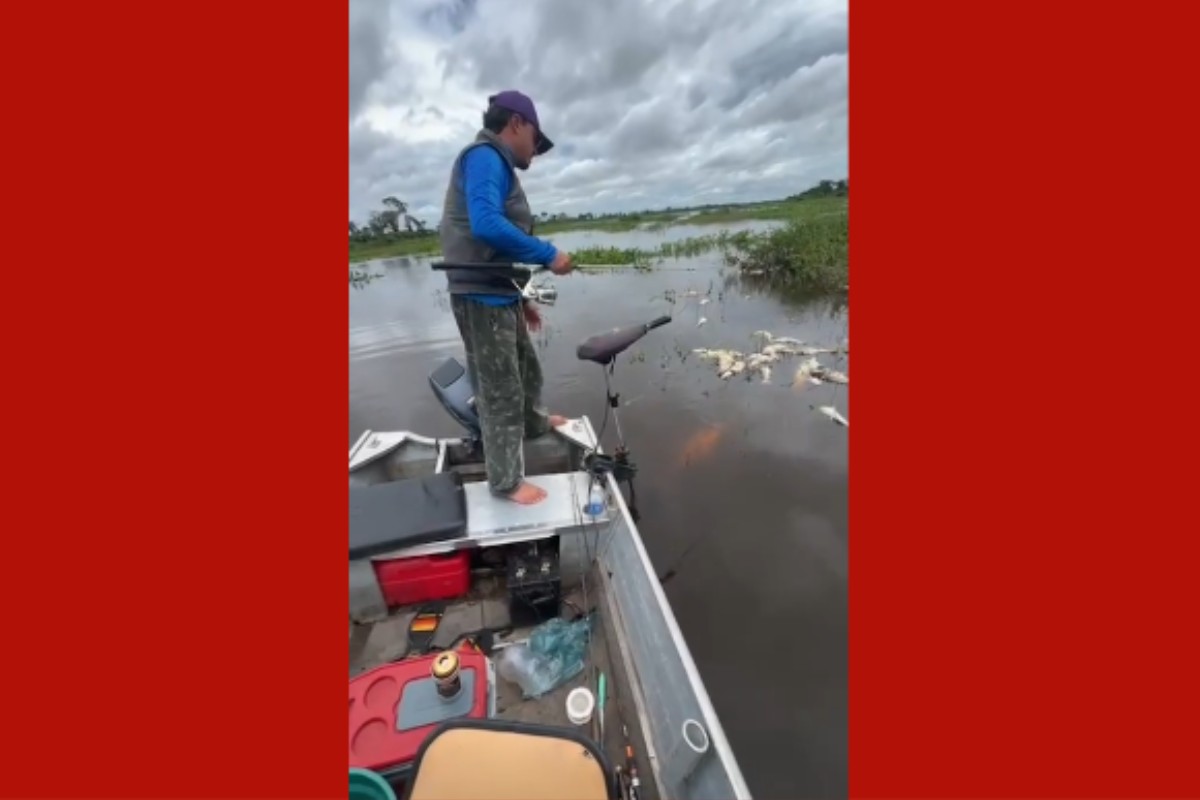 Vídeo gravado por pescador mostra peixes mortos no Rio Paraguai após atraso de cheias em MT