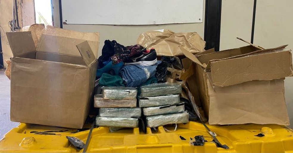 Os entorpecentes estavam escondidos em peças de roupas embaladas em caixas de papelão. — Foto: Divulgação/Receita Federal