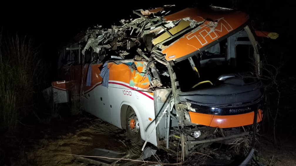 Ônibus saiu da pista e atingiu árvores — Foto: Corpo de Bombeiros/Divulgação