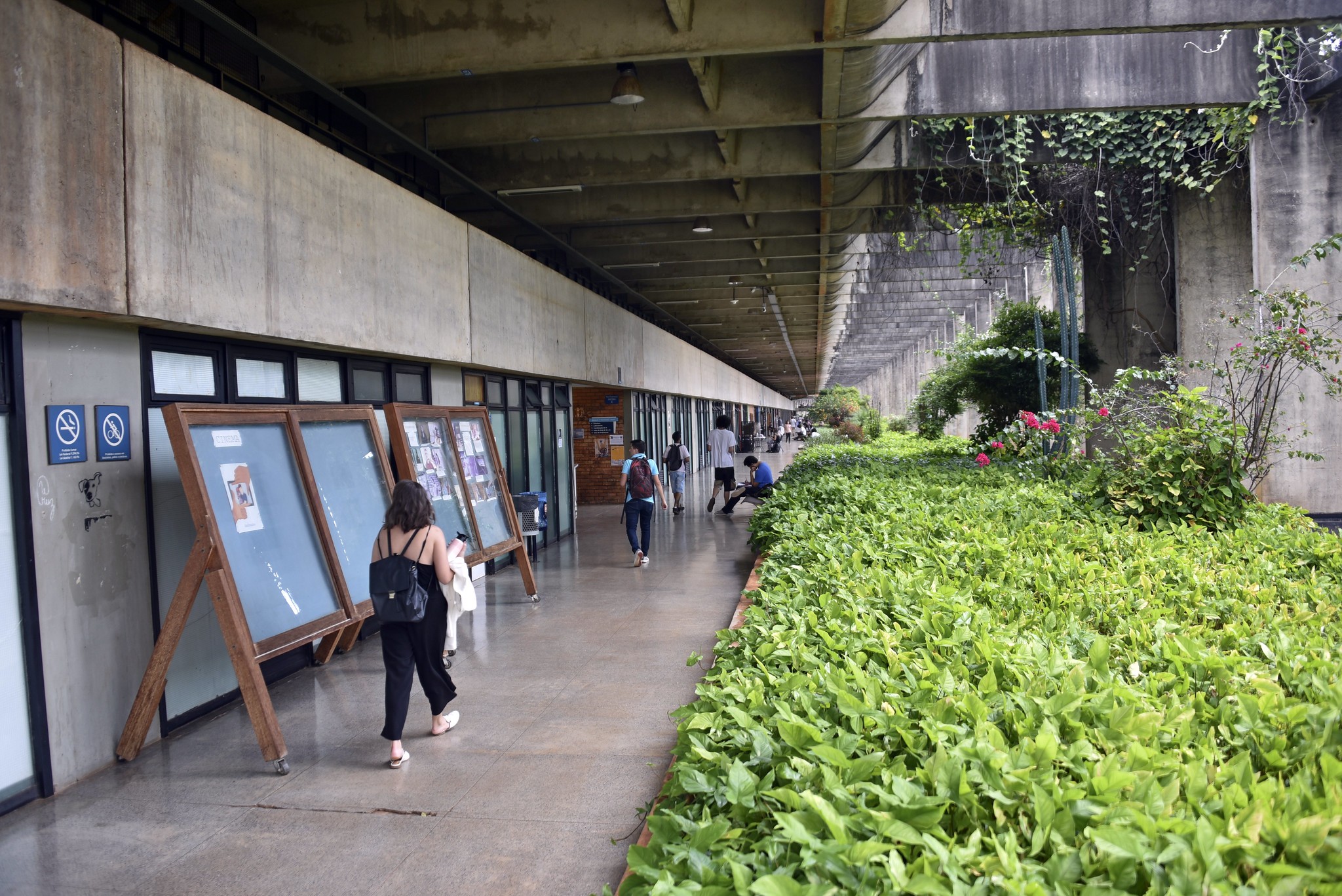 Universidade de Brasília aprova cotas para pessoas trans