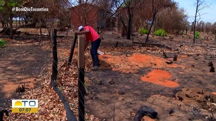 Queimadas causam destruição de mais de 800 mil hectares no Tocantins