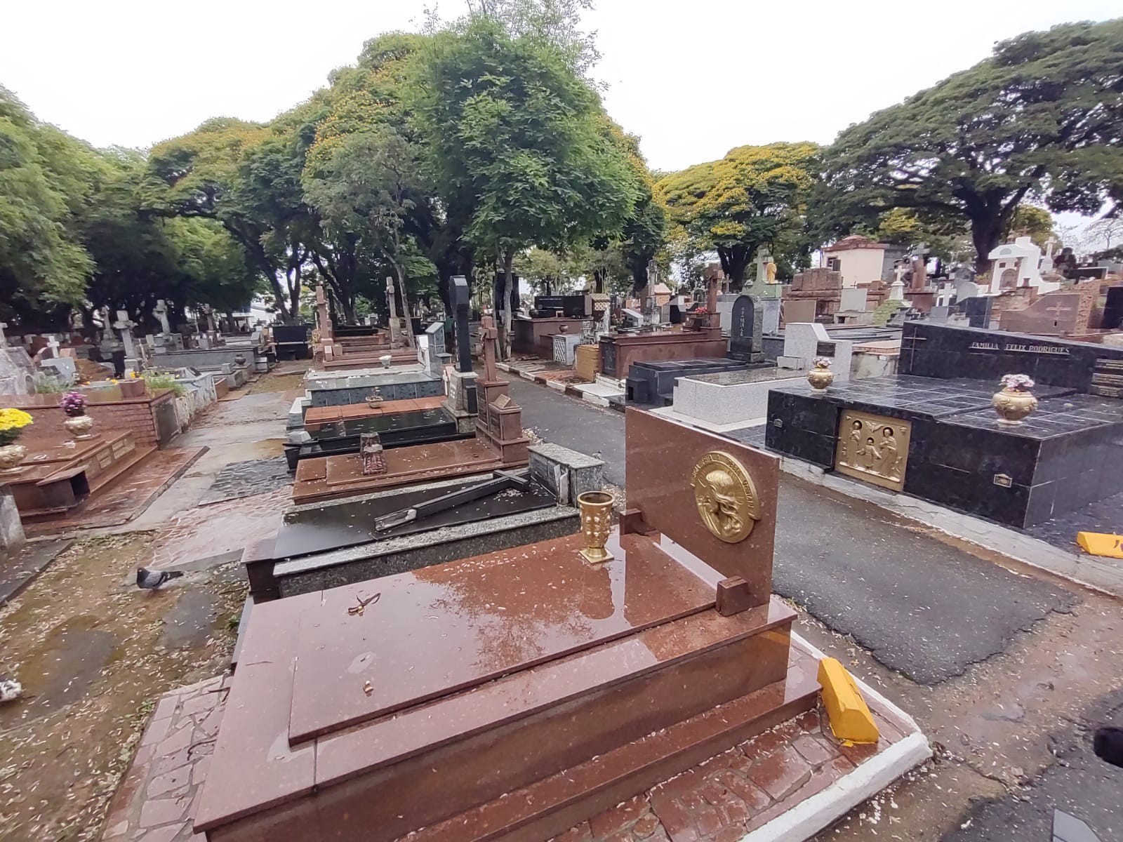 Finados: comerciantes inscritos devem entregar documentos até segunda-feira em Mogi das Cruzes