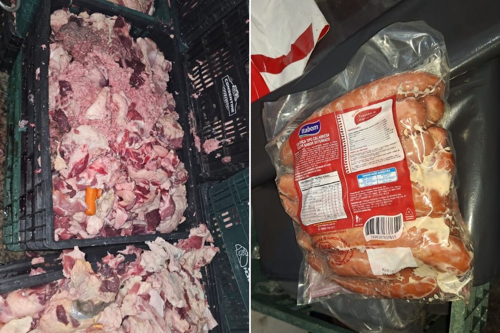 Sete pessoas envolvidas em vendas de carnes estragadas foram presas — Foto: Polícia Civil/Divulgação