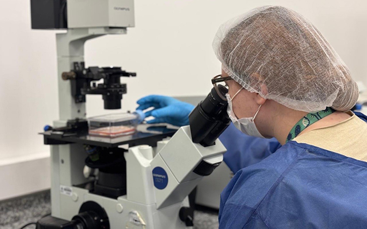 Como orégano e nanotecnologia podem combater vírus causador de epidemia durante o verão em SC