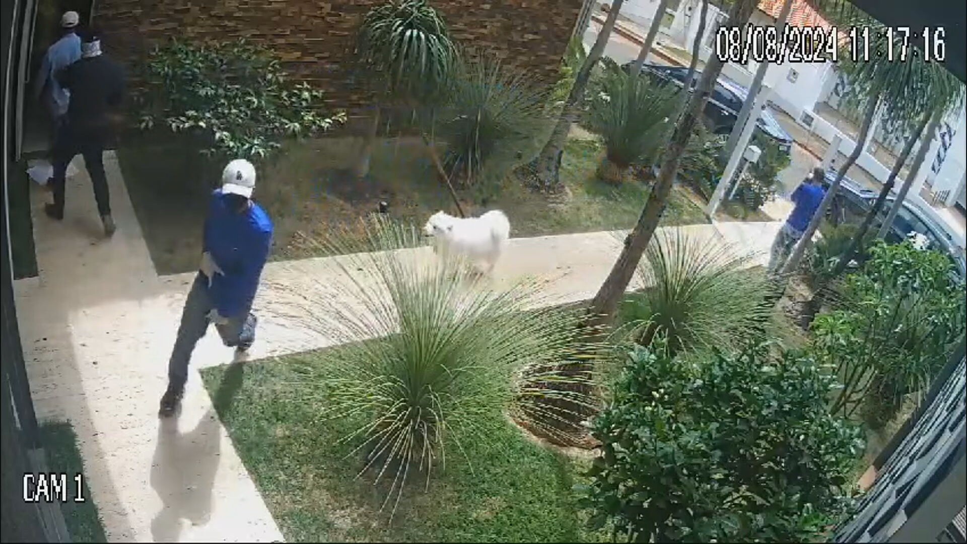 Polícia prende suspeitos de se passarem por vidraceiros para invadir casa e roubar R$ 1 milhão em área nobre de Brasília; VÍDEO