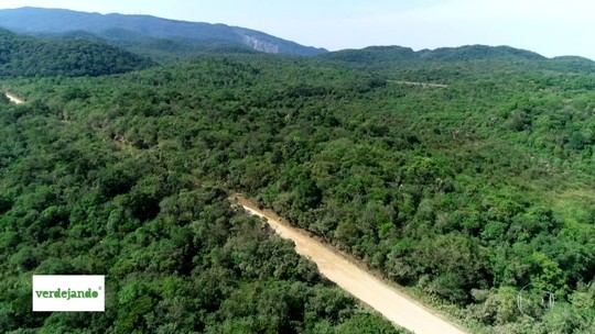 Empreendimento pode desmatar 38 hectares de mata nativa no ABC - Programa: SP1 
