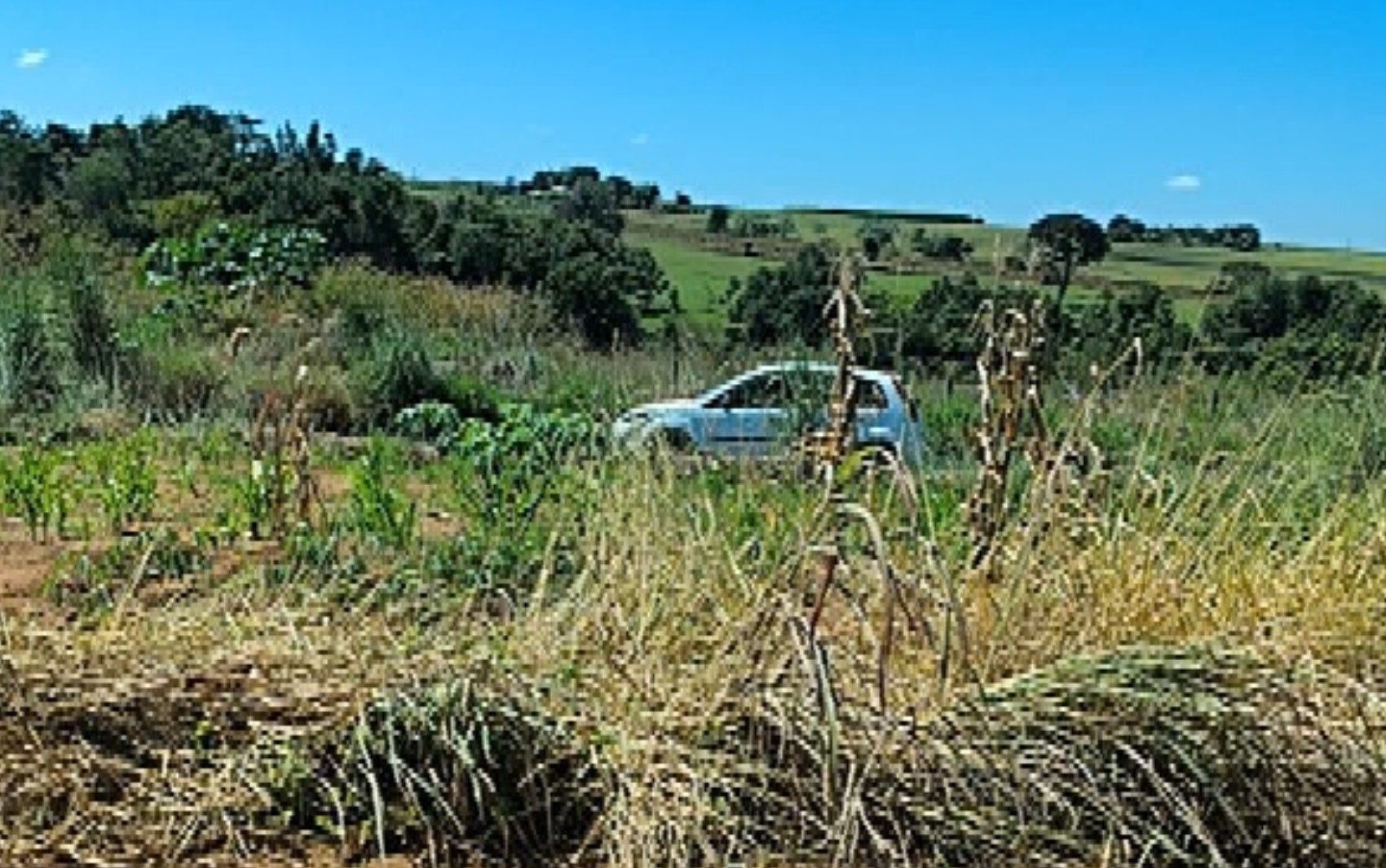 Suspeitos matam homem a facada durante festa e abandonam corpo em estrada, diz polícia