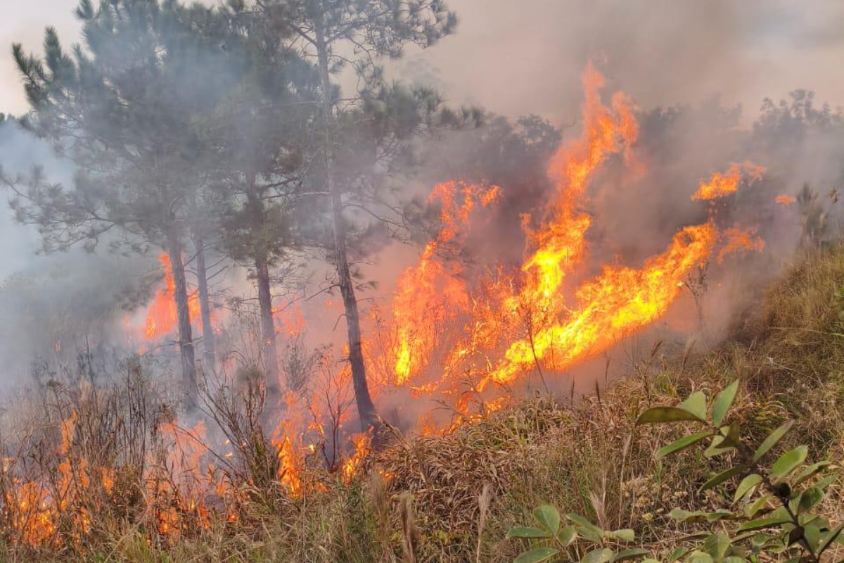 Incêndio atinge vegetação na zona rural de Sarapuí
