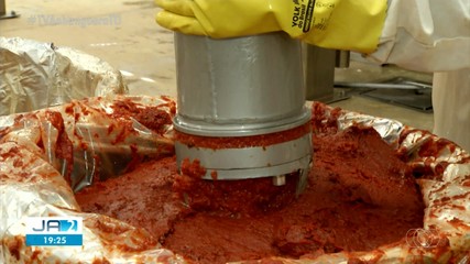 Produção de extrato de tomate é um dos destaques do Jornal do Campo; confira