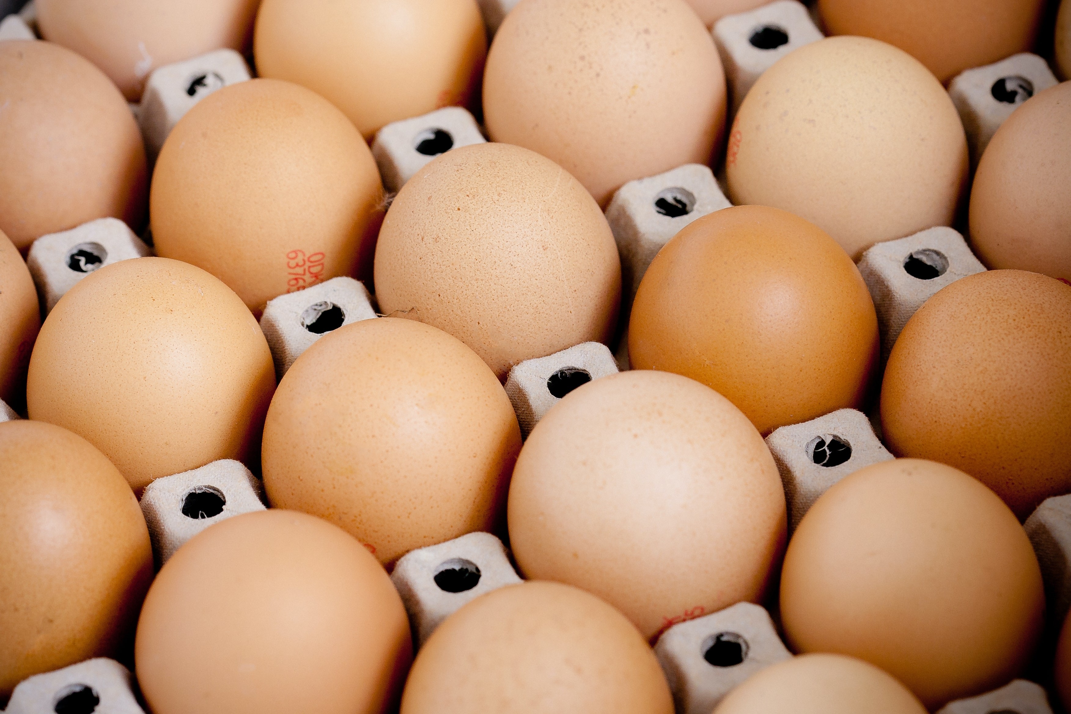 Exportações de frango podem cair neste ano, mas vendas de ovos devem disparar, diz associação
