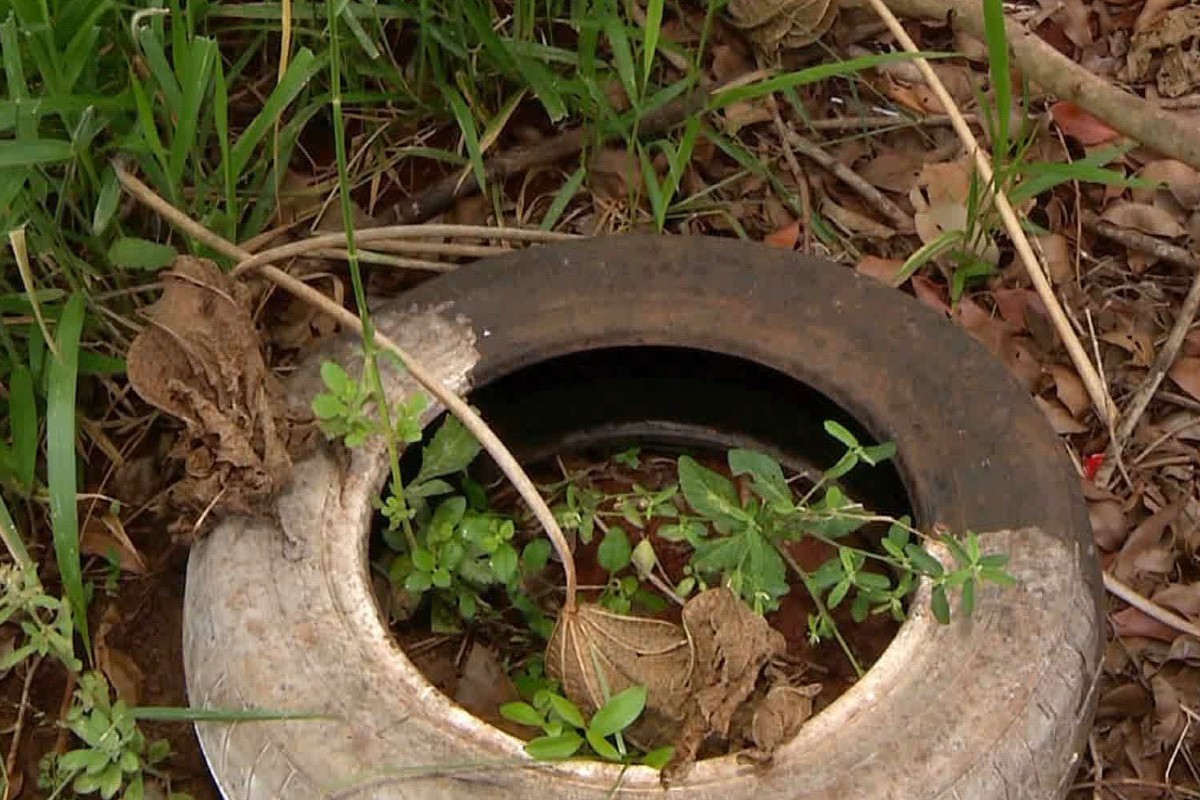 Com 100 casos confirmados e uma morte, maior aldeia de MS está em alerta para epidemia de chikungunya