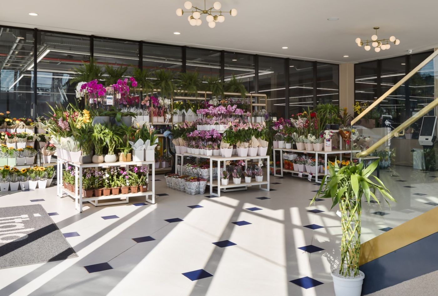 Entre flores, cores e aromas: quando a beleza também faz parte das compras