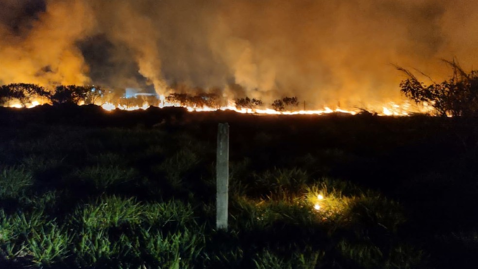 Incêndio queima quase 43 mil m² de vegetação em terreno na Avenida dos Bandeirantes em Taubaté — Foto: Reprodução/ Defesa Civil de Taubaté