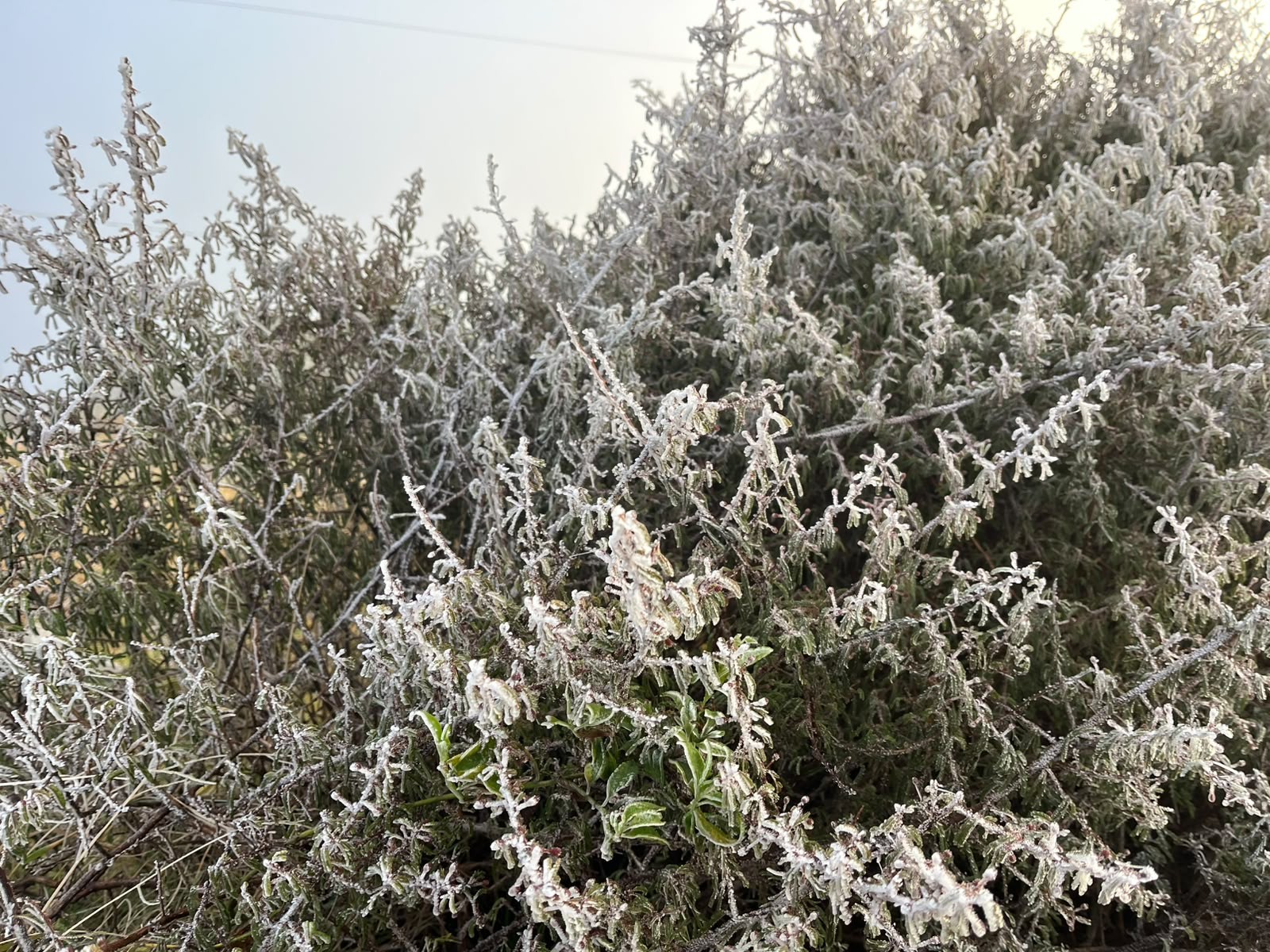 Capital Nacional do Frio, Urupema amanhece com sincelo e temperaturas negativas