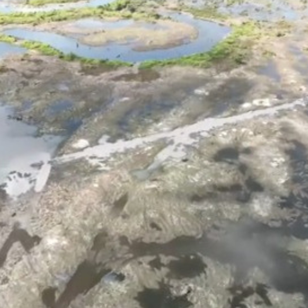 Peixes mortos e barcos encalhados: rio seca após usina hidrelétrica reduzir nível de reservatório por alerta de segurança em MT