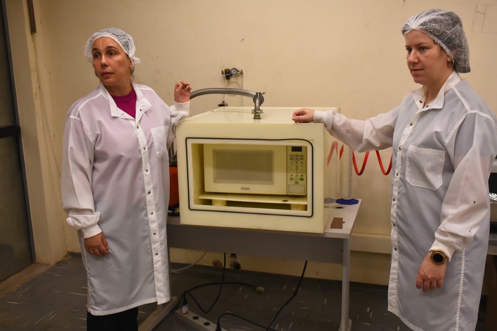 As químicas Silvia Vaz Guerra Nista (à esq.) e Larissa Giorgetti Mendes fazendo a transformação da lignina com micro-ondas no CCS Nano da Unicamp. — Foto: Lúcio Camargo / Unicamp