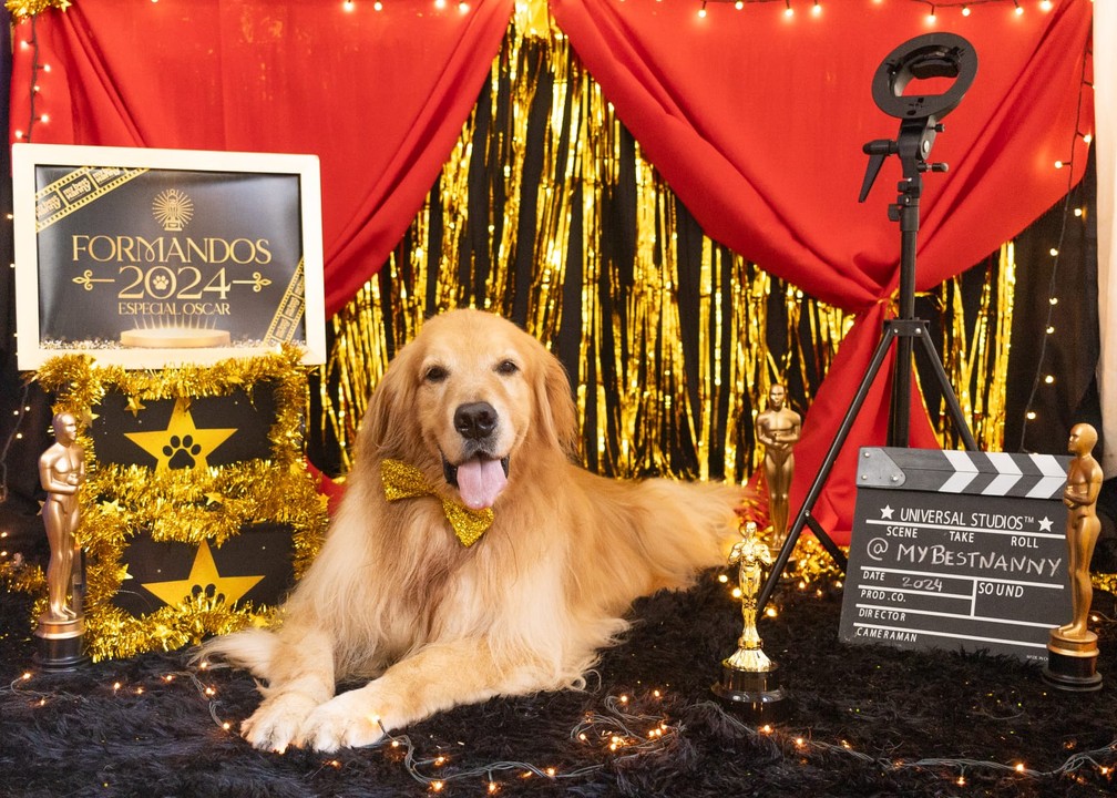 Cães participaram de ensaio de formatura — Foto: Amany Mourtada