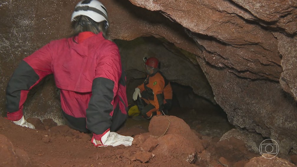 A equipe do Jornal Nacional entrou em uma paleotoca - uma caverna escavada na rocha por animais enormes. — Foto: Reprodução/ Jornal Nacional